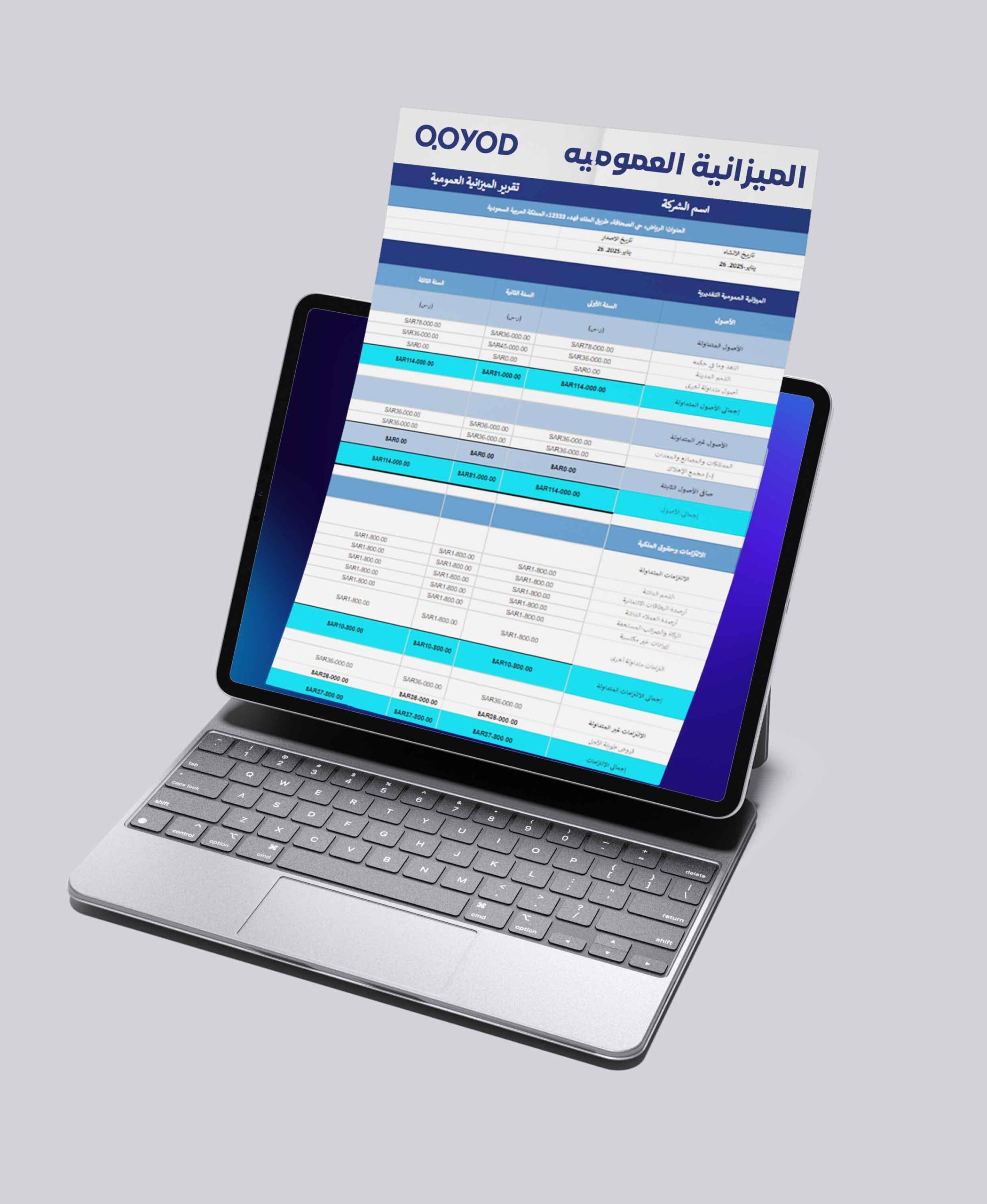 نموذج الميزانية العمومية Excel مجاني (قائمة المركز المالي) | قيود