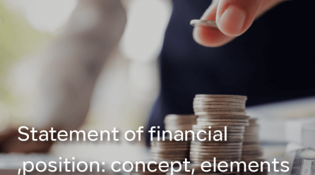 Statement of financial position: concept, elements, examples