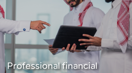 Professional financial crisis management